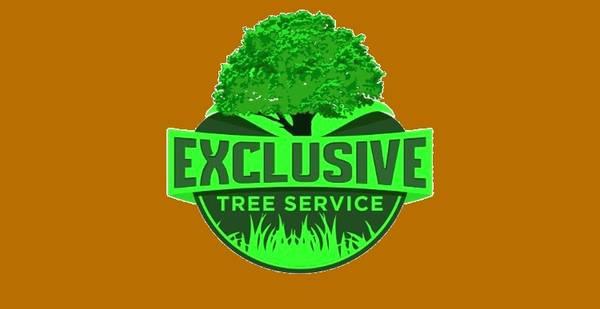 AFFORDABLE TREE REMOVAL SERVICE - FREE ESTIMATES
