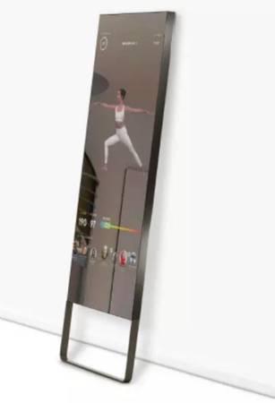 The Mirror: Nearly invisible gym at home - Beverly Crest, Los Angeles, California
