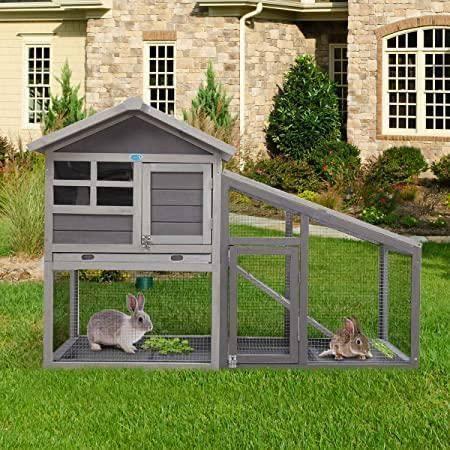 Rabbit Hutch/ Small Animal House