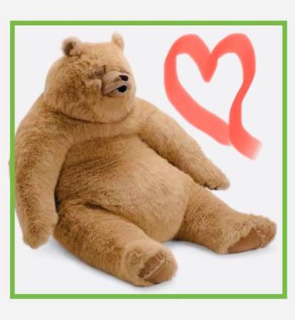 Weight loss surgery for my stuffed bear