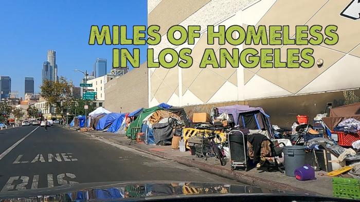 Homeless Crises: Why Not Ship Them to Other States? - San Fernando, Los Angeles, California