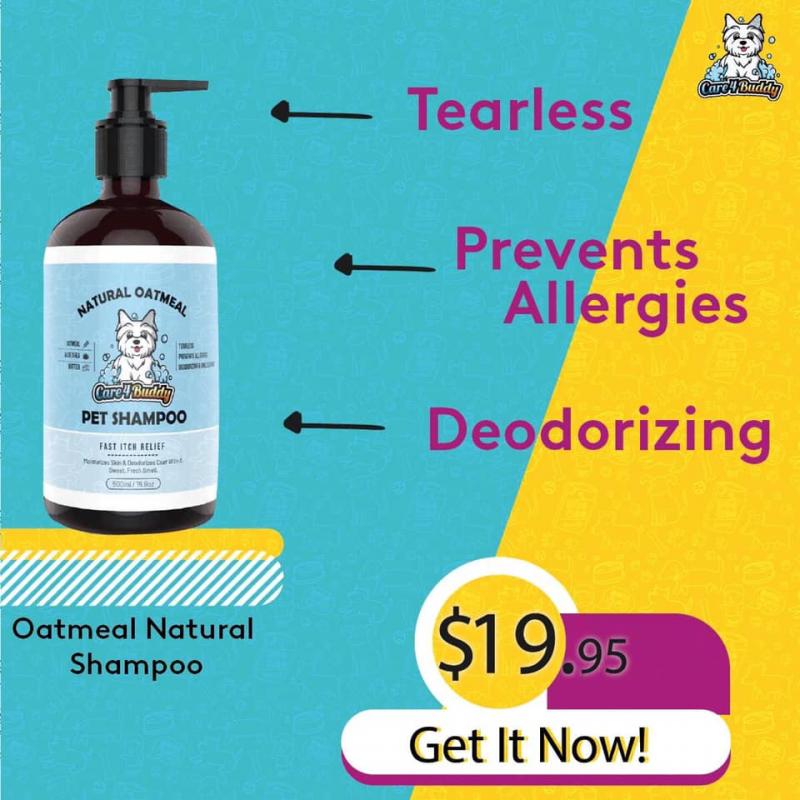 Care4Buddy Pet Oatmeal Antiitch Shampoo for Sensitive Skin - Los Angeles