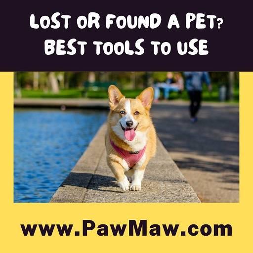 MISSING PET MISSING DOG CAT notify your Neighbors! - Sherman Oaks, Los Angeles, California