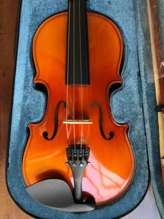 New Violin solid wood